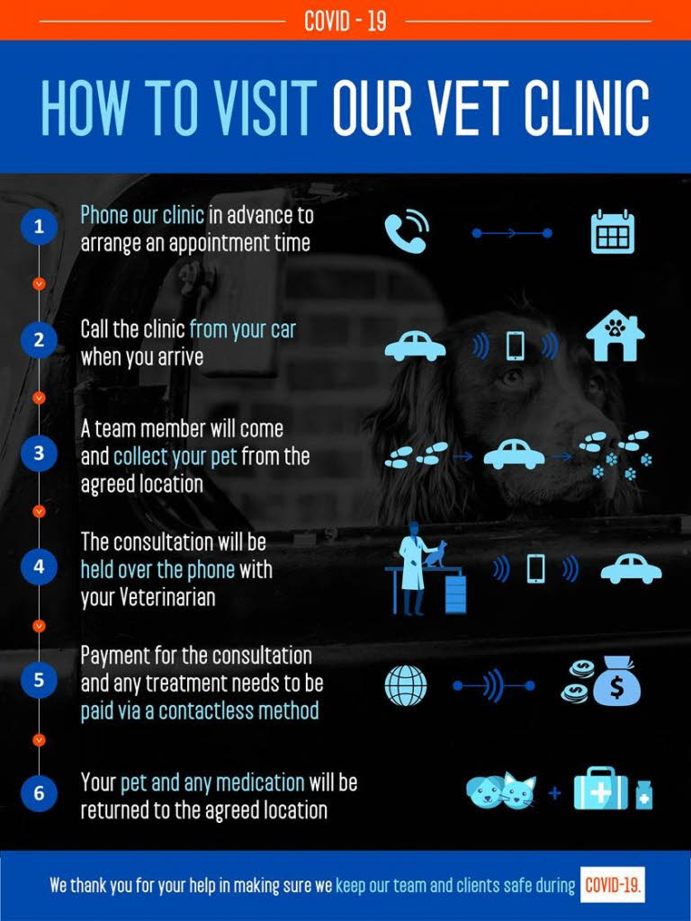 plains emergency vet